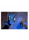 Victron Blue Smart IP65 Charger 220V 12V 25A Akü Şarj Cihazı