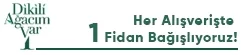 Görsel Açıklaması