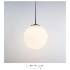 A-1017-1-20 TEKLİ GLOP SARKIT AVİZE