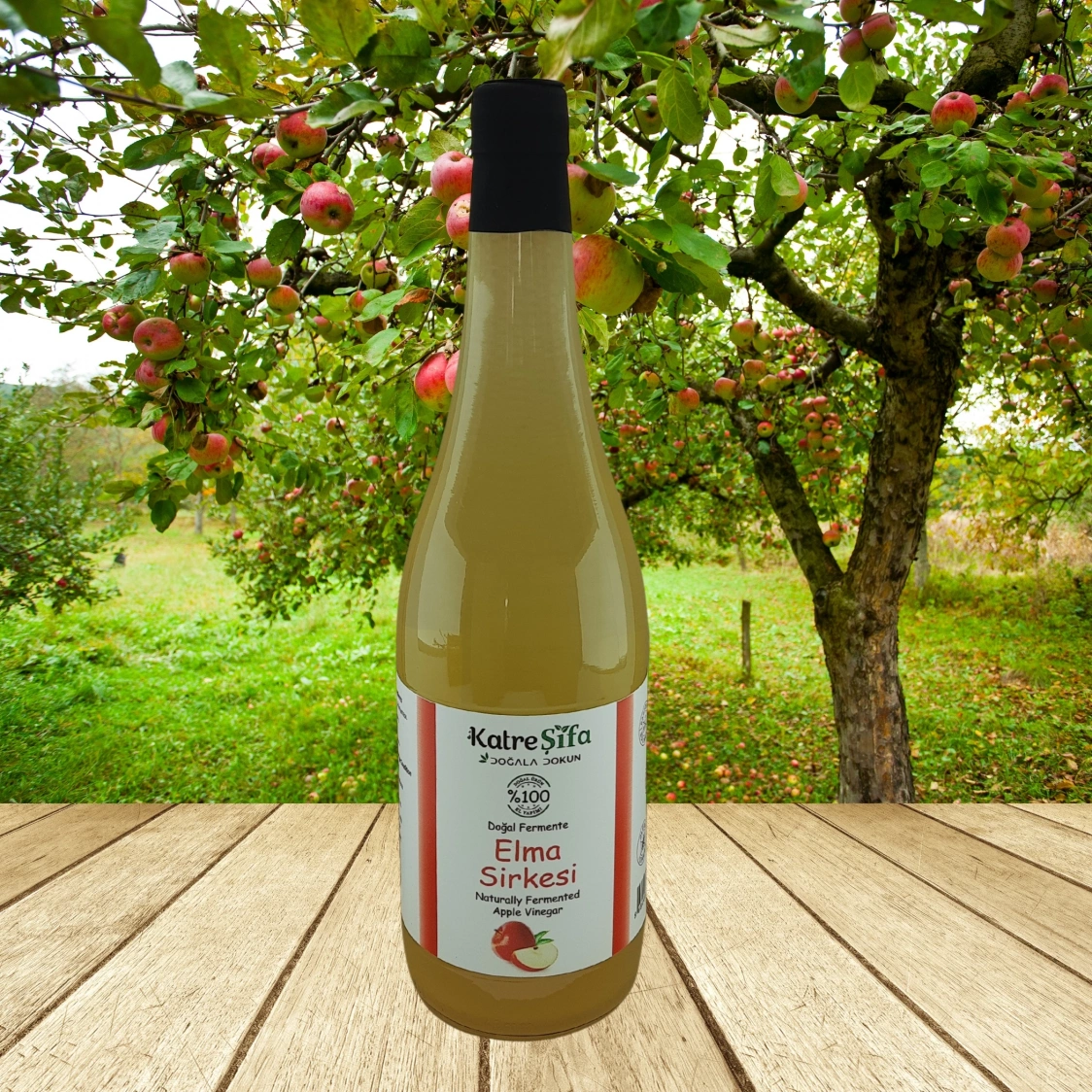 Elma Sirkesi
