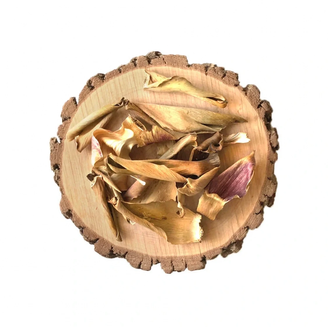 Enginar Yaprağı Kurusu