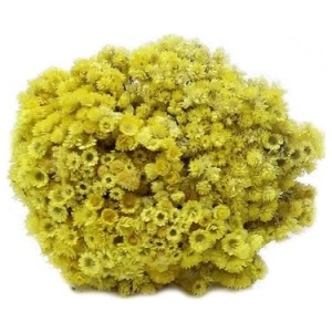 Altın Otu Çiçeği 100gr