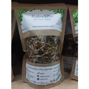 Karahindiba Otu Kurusu