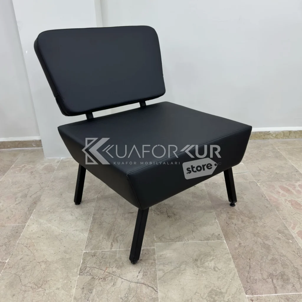 Siyah Bekleme Koltuğu (TEŞHİR)