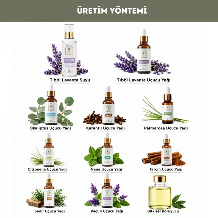 Anti-Lice Lavanta Özlü Bit Kovucu Saç Spreyi 100 ml. – %100 Doğal, Durulama Gerektirmez, Tüm Yaşlar İçin