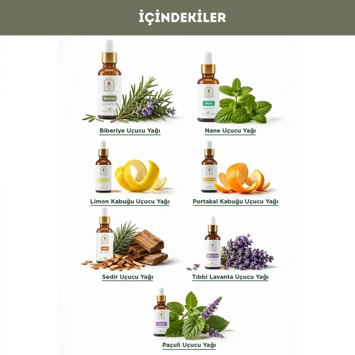 ATTENTION Dikkat & Konsantrasyon Arttırıcı Aromaterapik Yağ 10 ml. %100 Saf