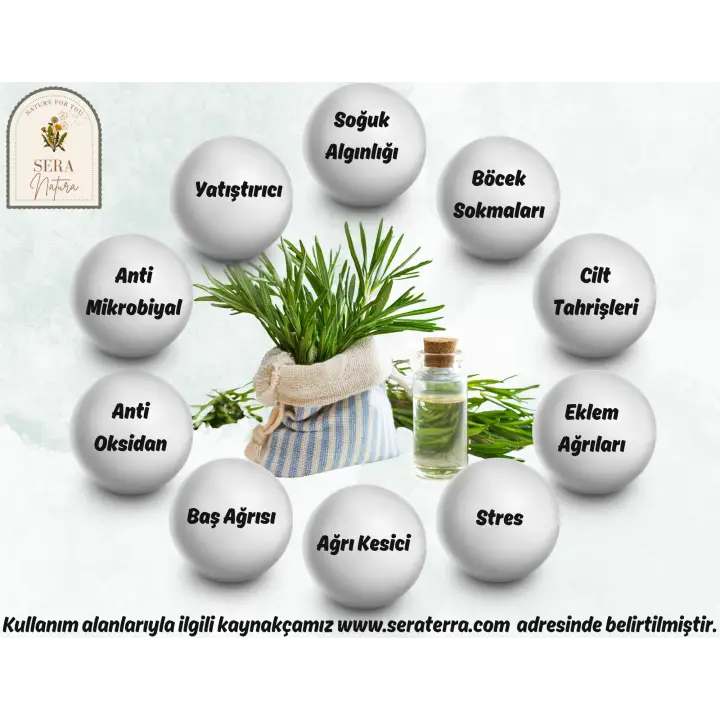 Biberiye Uçucu Yağı 10 ml. %100 Saf