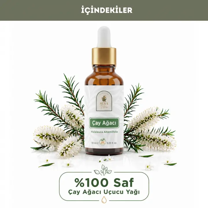 Çay Ağacı Uçucu Yağı – Sivilceye Elveda Bakım Yağı | %100 Saf 10 ml