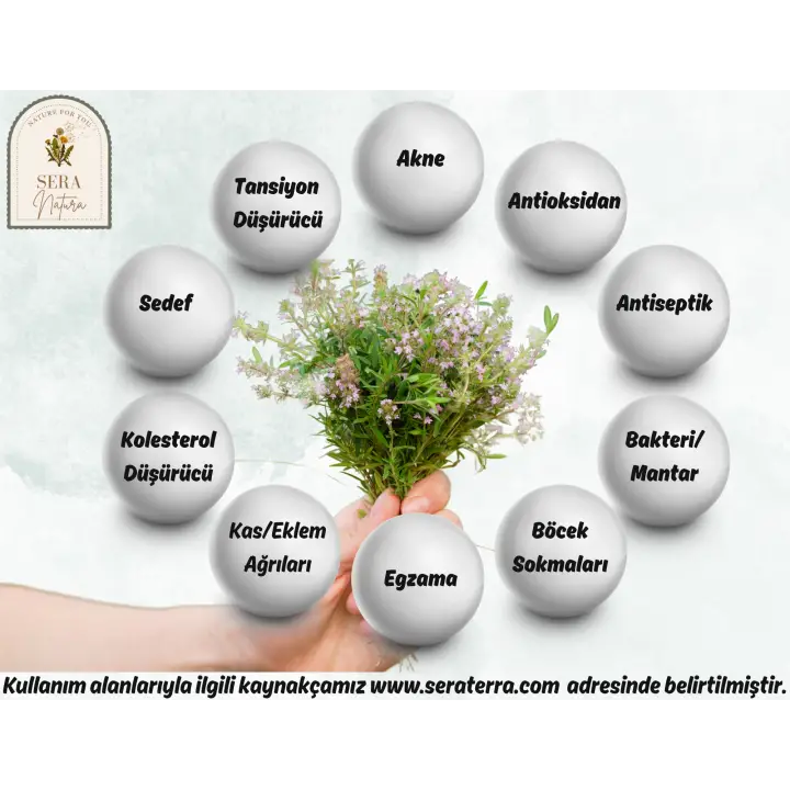 Sera Natura Kekik Uçucu Yağı 10 ml – Doğal Bağışıklık ve Arındırıcı Destek | %100 Saf