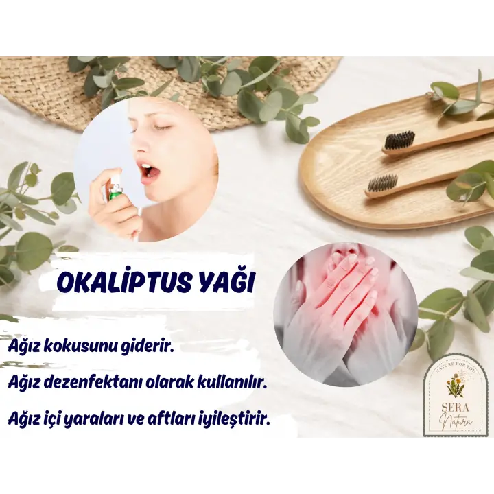 Okaliptus Uçucu Yağı 10 ml. %100 Saf