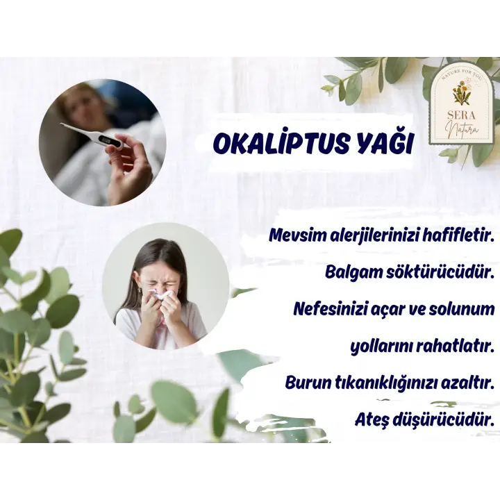 Okaliptus Uçucu Yağı 10 ml. %100 Saf