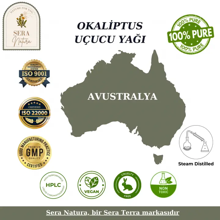 Okaliptus Uçucu Yağı 10 ml. %100 Saf