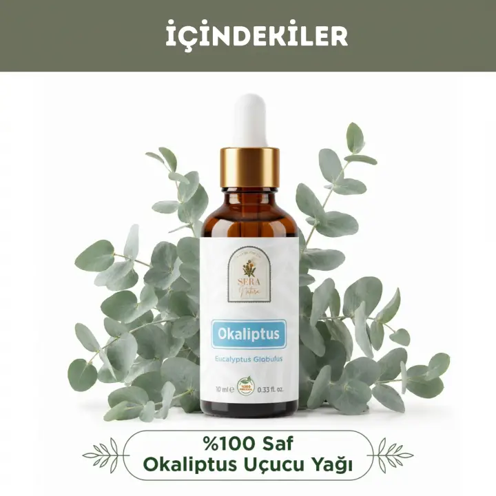 Okaliptus Uçucu Yağı 10 ml. %100 Saf