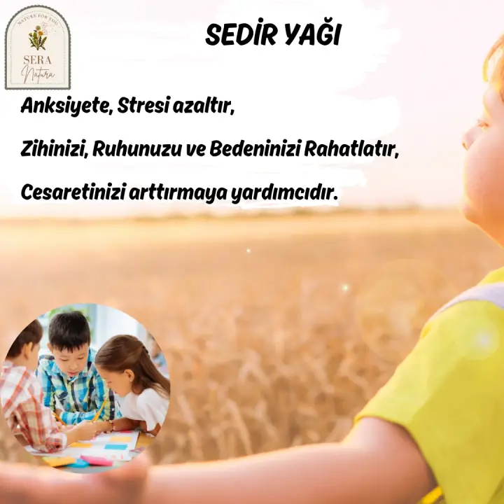 Sedir Uçucu Yağı 10 ml. %100 Saf