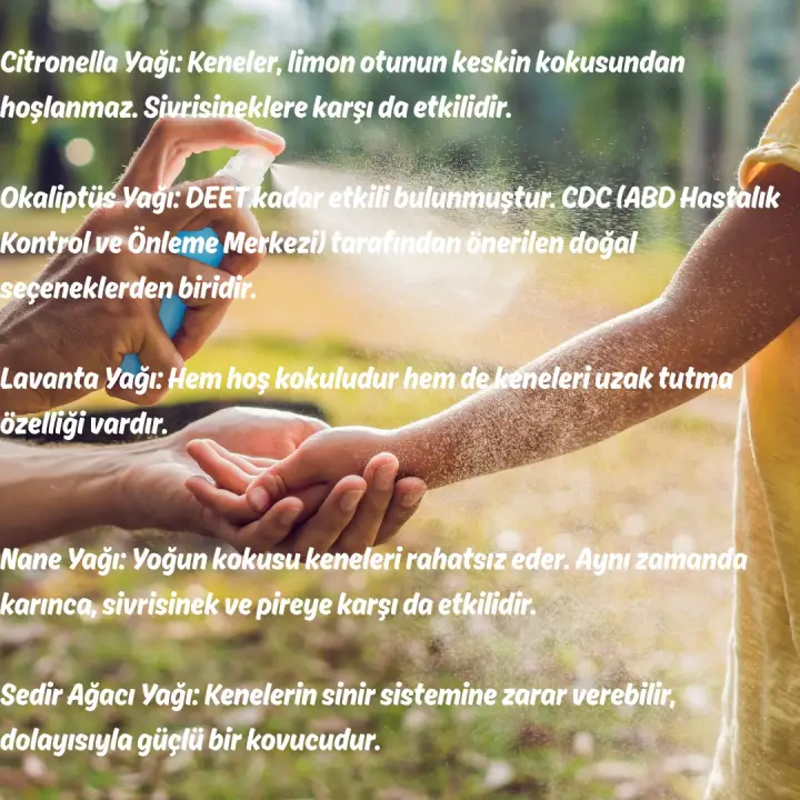 Sinek ve Kene Kovucu Sprey