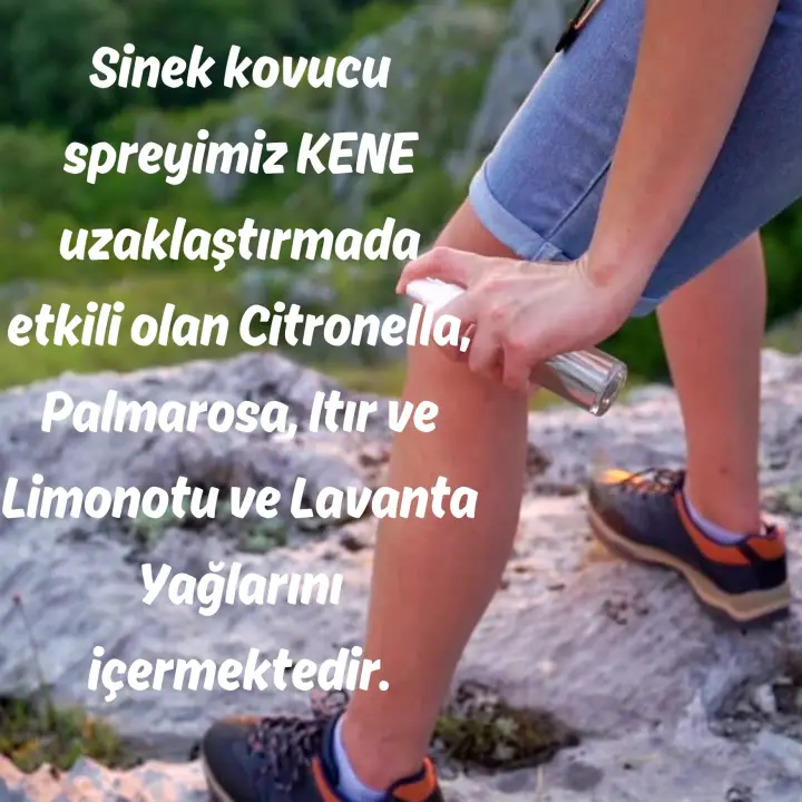 Sinek ve Kene Kovucu Sprey