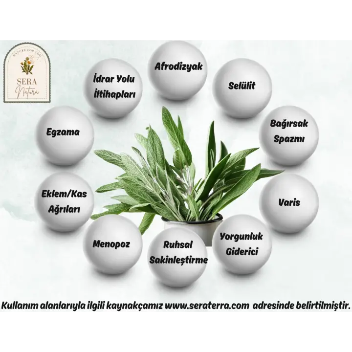 Adaçayı Uçucu Yağı 10 ml. %100 Saf