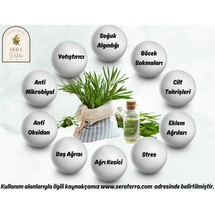 Biberiye Uçucu Yağı 10 ml. %100 Saf