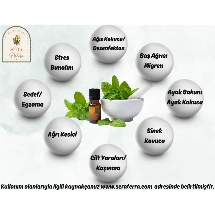 Nane Uçucu Yağı 10 ml. %100 Saf