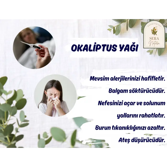 Okaliptus Uçucu Yağı 10 ml. %100 Saf