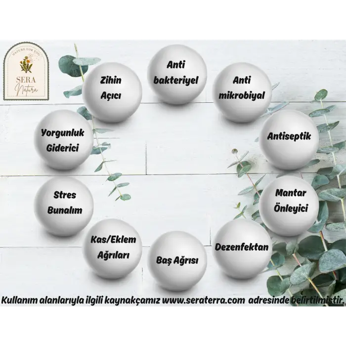 Okaliptus Uçucu Yağı 10 ml. %100 Saf