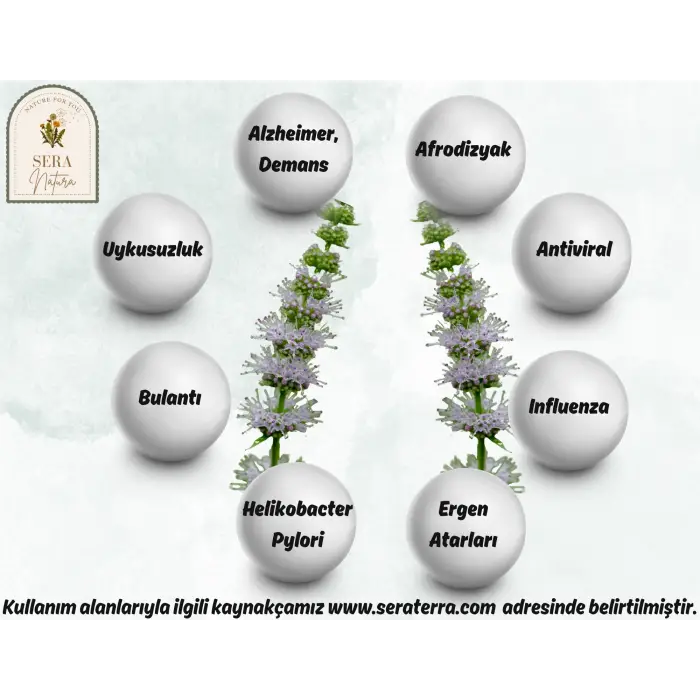 Paçuli Uçucu Yağı 5 ml. %100 Saf