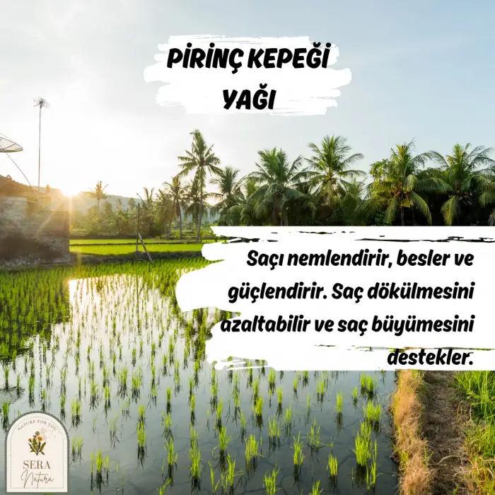 Pirinç Kepeği Yağı 30 ml. %100 Saf