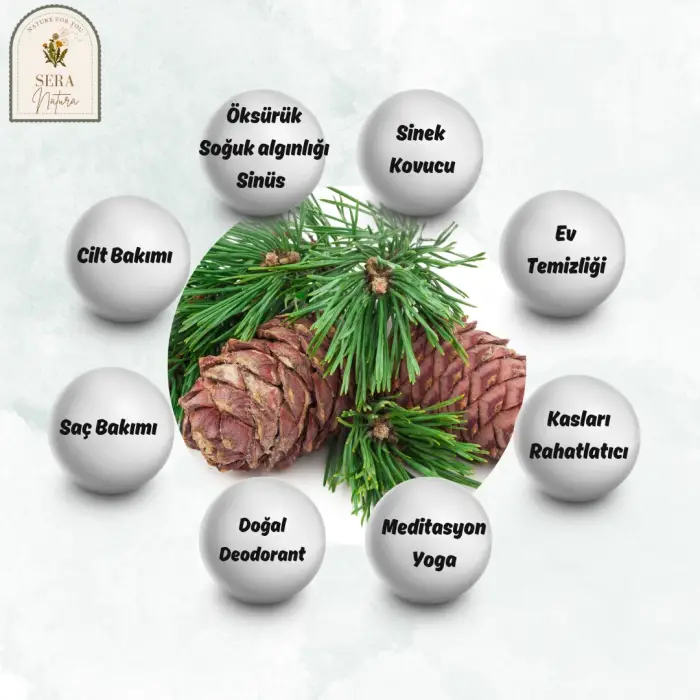 Sedir Uçucu Yağı 10 ml. %100 Saf