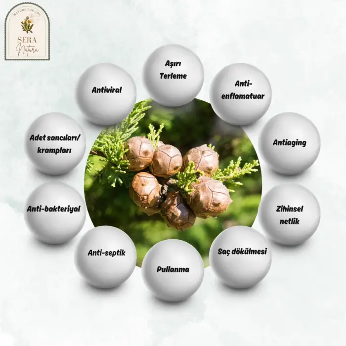 Servi Uçucu Yağı 10 ml. %100 Saf