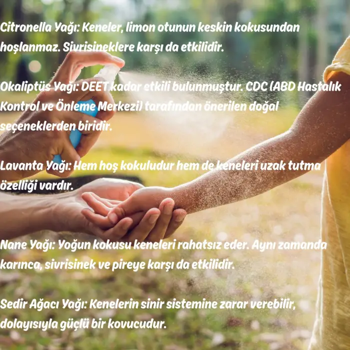 Sinek ve Kene Kovucu Sprey