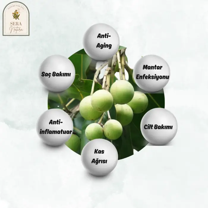 Tamanu Yağı 10 ml. %100 Saf