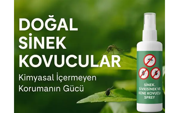 Doğal Sinek Kovucular: Kimyasal İçermeyen Korumanın Gücü