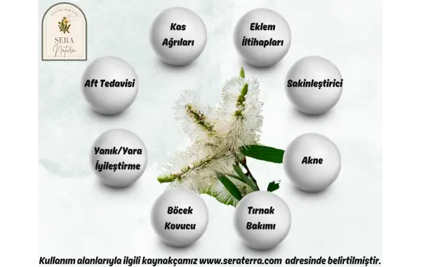 Sağlık ve Huzurun Kaynağı: Nioli Yağının Faydaları