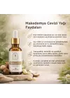 Makedemya Cevizi Yağı 30 ml – Besleyici ve Hücre Yenileyici