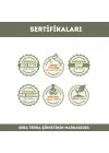 Abundance Bolluk Bereket Yağ Bazlı Roll-On Koku 10 ml