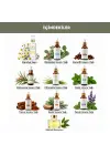 Anti-Lice Bit Kovucu Sprey-Papatya