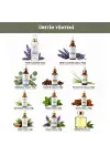 Anti-Lice Lavanta Özlü Bit Kovucu Saç Spreyi 100 ml. – %100 Doğal, Durulama Gerektirmez, Tüm Yaşlar İçin
