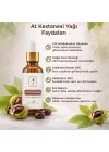 At Kestanesi Yağı 30 ml %100 Saf