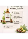 At Kestanesi Yağı 30 ml %100 Saf