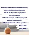 Breathe Relax Nefes Açıcı Burun Yağı %100 Saf 10 ml.