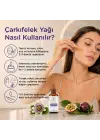 Çarkıfelek Yağı 10 ml %100 Saf ve Doğal