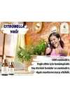 Citronella Uçucu Yağı 10 ml. %100 Saf