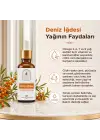 Deniz İğdesi Yağı 10 ml %100 Saf ve Doğal