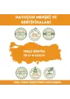Havuç Tohumu Uçucu Yağı 5 ml %100 Saf