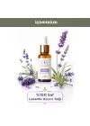 Lavanta Uçucu Yağı 20 ml %100 Saf ve Doğal