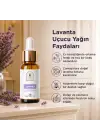 Lavanta Uçucu Yağı 20 ml %100 Saf ve Doğal