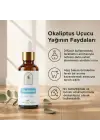 Okaliptus Uçucu Yağı 10 ml. %100 Saf