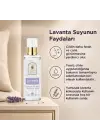 Saf Lavanta Suyu Cilt Bakım Toniği 100 ml. %100 Saf