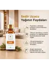 Sedir Uçucu Yağı 10 ml. %100 Saf