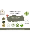 Tıbbi Lavanta Uçucu Yağı 10 ml. %100 Saf